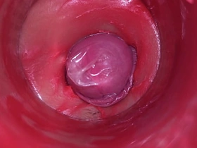 阴道内镜头：浓精爆射！4K高清内射ASMR极致体验 cute gay porn japan